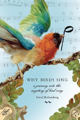 Por qué los pájaros cantan: Un viaje al misterio de la canción del pájaro