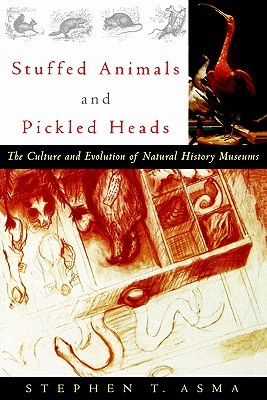 Animales rellenos y cabezas encurtidas: La cultura y evolución de los museos de historia natural