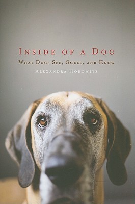 Dentro de un perro: lo que los perros ven, olfatean y saben