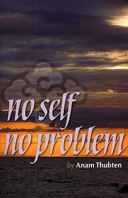 No Self No Problem: Awakening a nuestra verdadera naturaleza