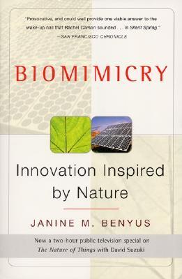 Biomimetismo: la innovación inspirada en la naturaleza