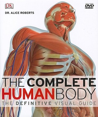 El Cuerpo Humano Completo: La Guía Visual Definitiva