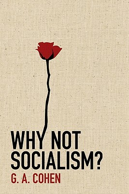 ¿Por qué no socialismo?
