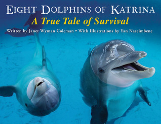 Ocho delfines de Katrina: un verdadero cuento de supervivencia
