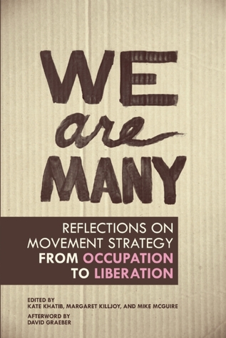 Somos muchos: Reflexiones sobre la estrategia del movimiento de la ocupación a la liberación
