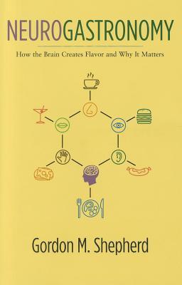 Neurogastronomía: cómo el cerebro crea sabor y por qué importa
