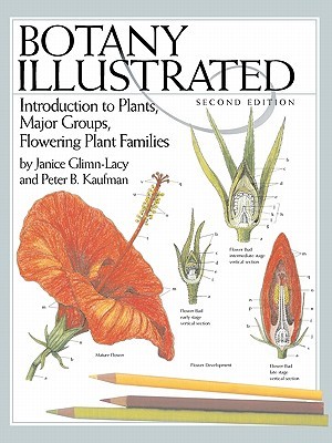 Botánica ilustrada: Introducción a las plantas, grupos principales, familias de plantas florecientes