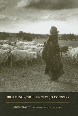 Sueño de ovejas en Navajo Country