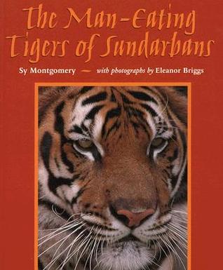 Los tigres de Sundarbans