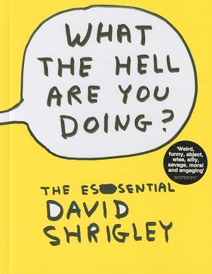 ¿Qué diablos estás haciendo ?: El esencial David Shrigley
