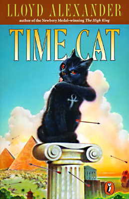 gato del tiempo