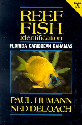 Reef Fish Identificación: Florida Caribe Bahamas