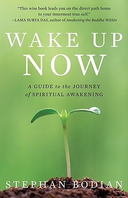 Despierta ahora: Una guía para el viaje del despertar espiritual