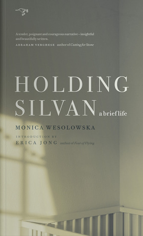 Holding Silvan: una breve vida