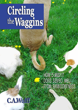 Circundando los Waggins: Cómo 5 Perros Desajustados Me Salvaron del Desconcierto