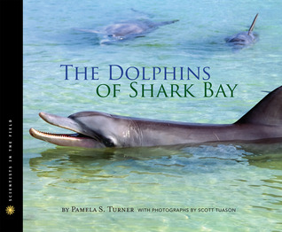Los delfines de Shark Bay