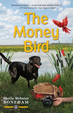 El pájaro del dinero