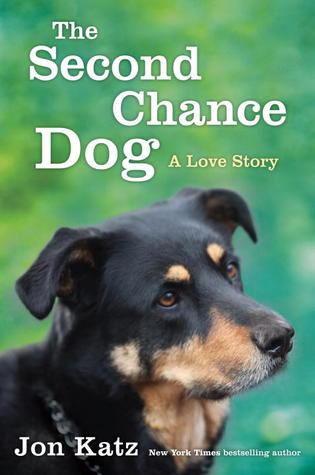 El perro de segunda oportunidad: una historia de amor