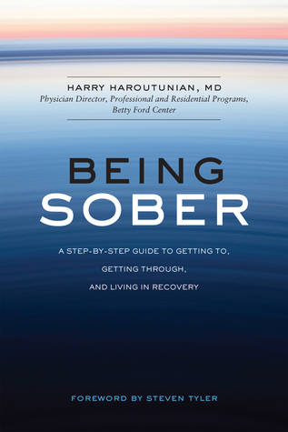 Ser sobrio: una guía paso a paso para llegar, sobrevivir y vivir en recuperación