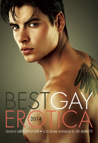 Mejor Erotica Gay 2014