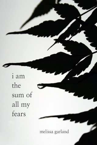 Soy la suma de todos mis miedos