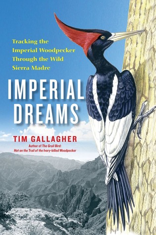 Sueños Imperiales: Seguimiento del Pájaro Carpintero Imperial a través de la Sierra Madre