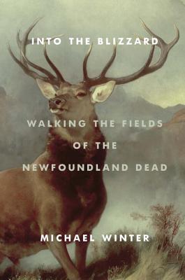En la ventisca: Caminando por los campos de los muertos de Terranova