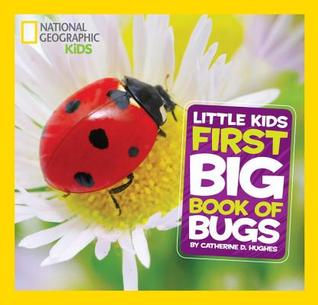 Pequeños niños primer libro grande de insectos