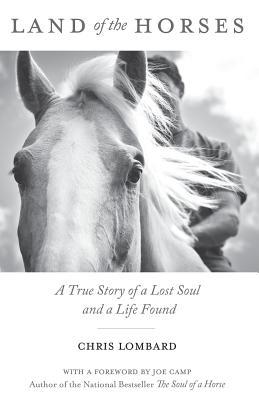 Tierra de los caballos: una historia verdadera de un alma perdida y de una vida encontrada