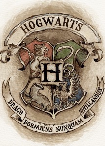 Caja de Harry Potter