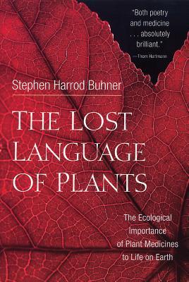 El lenguaje perdido de las plantas: la importancia ecológica de la medicina vegetal para la vida en la Tierra