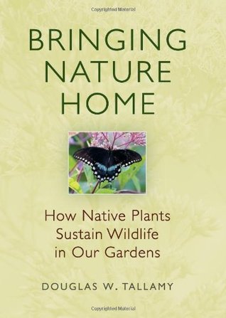 Traer la naturaleza a casa: cómo las plantas nativas sostienen la vida silvestre en nuestros jardines