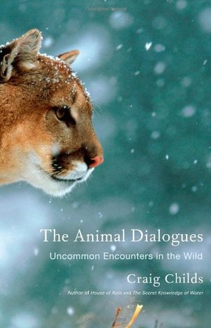Los diálogos de los animales: encuentros infrecuentes en la naturaleza