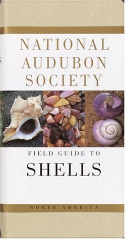 Guía de Campo de la Sociedad Nacional Audubon para los Seashells de América del Norte