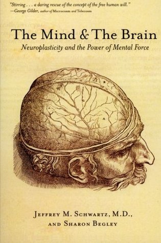 La mente y el cerebro: la neuroplasticidad y el poder de la fuerza mental