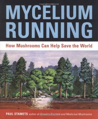 Mycelium Running: Cómo las setas pueden ayudar a salvar el mundo