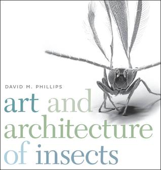 Arte y arquitectura de los insectos
