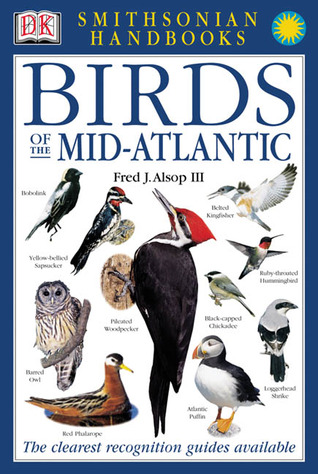 Aves del Atlántico Medio
