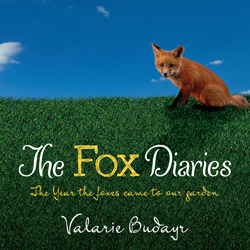 The Fox Diaries: El año en que los zorros llegaron a nuestro jardín