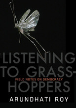 Notas de campo sobre la democracia: Escuchar a los saltamontes