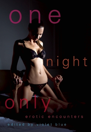 Una Noche Sólo: Encuentros Eróticos