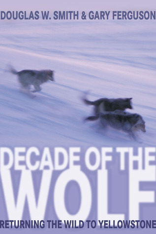 Década del lobo: devolver el salvaje a Yellowstone