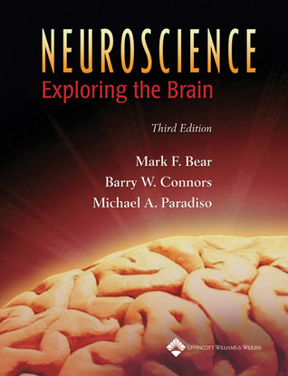 Neurociencia: Explorando el cerebro