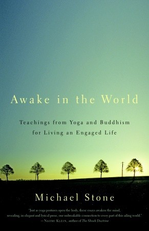 Despertar en el mundo: enseñanzas de yoga y budismo para vivir una vida comprometida
