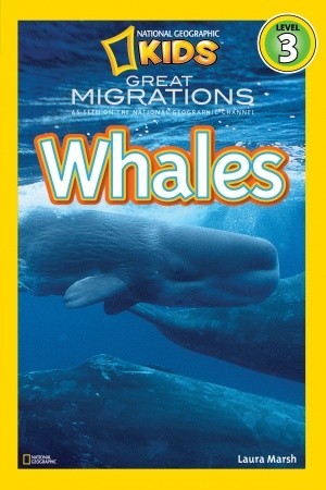 Grandes Migraciones: Ballenas