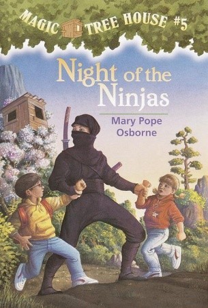 Noche de los Ninjas
