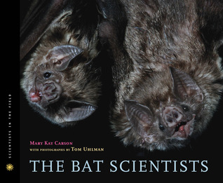 Los científicos del murciélago