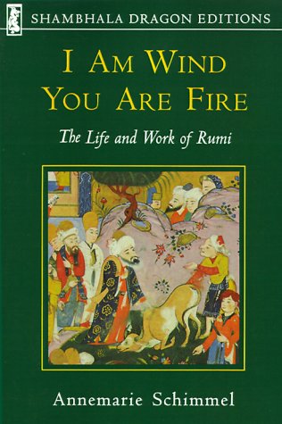 Yo soy el viento, tú eres el fuego: la vida y el trabajo de Rumi