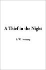 Un ladrón en la noche