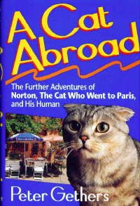 Un gato en el extranjero